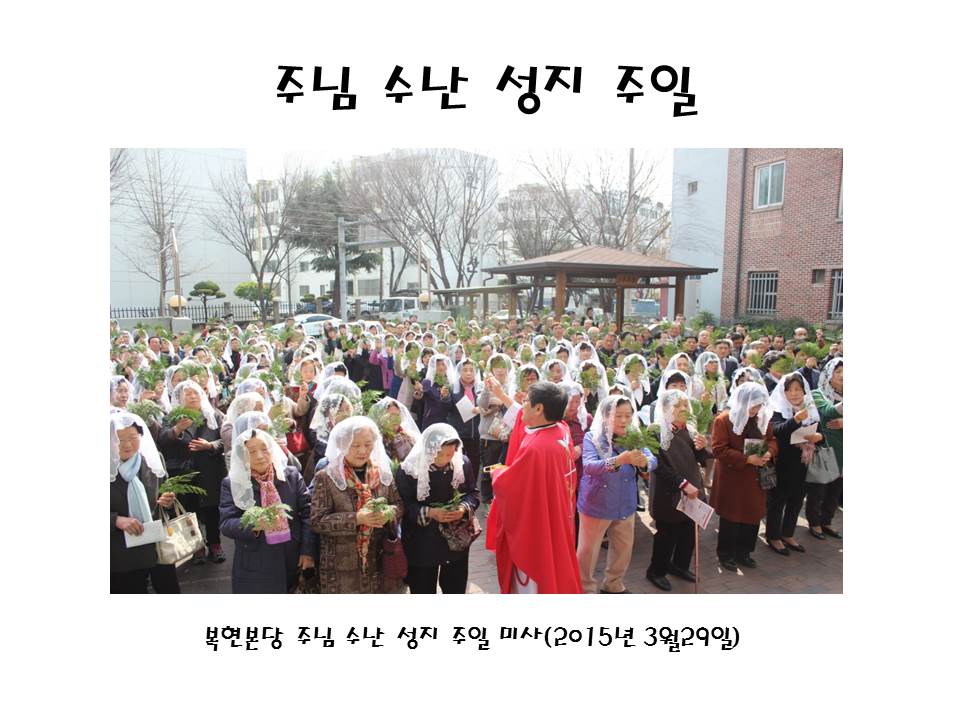 8.JPG : 성주간 및 성삼일 교육 자료