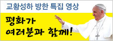 banner_papa_vod.jpg : 교황성하 방한 특집 영상