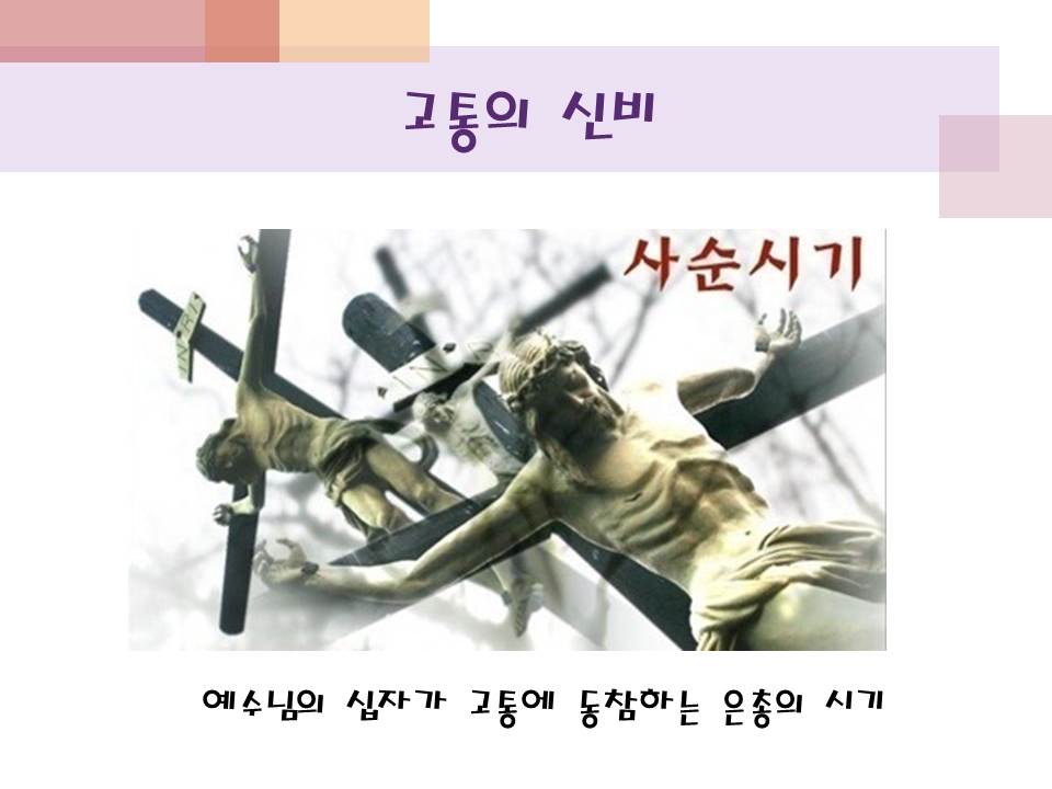 슬라이드7.JPG